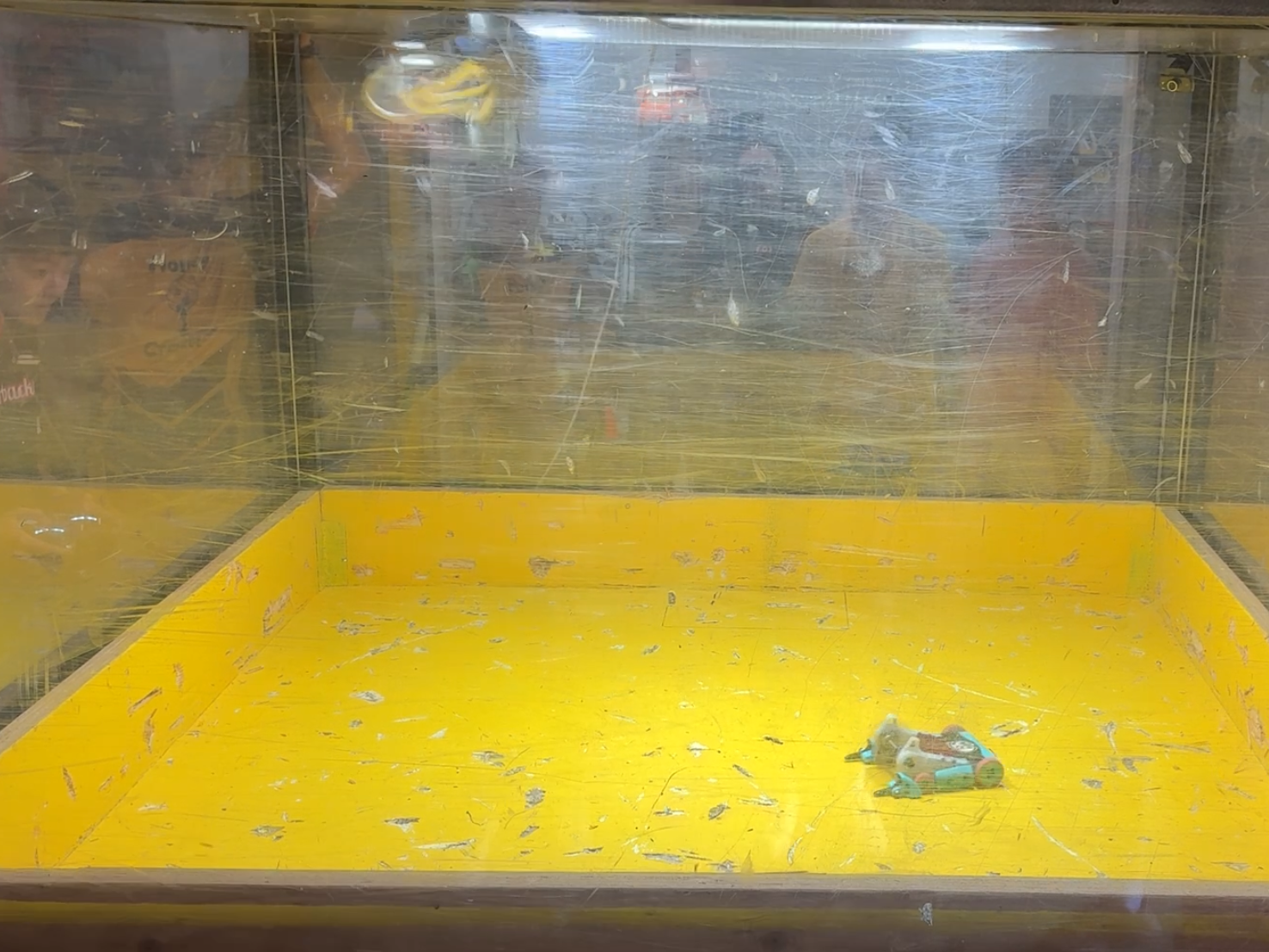 img 0233